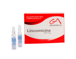 LINCOMICINA 600 MG