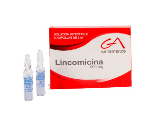 LINCOMICINA 600 MG