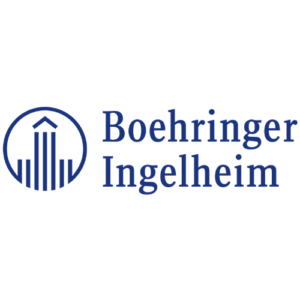 boehringer AMOVAL 1GR TABLETA